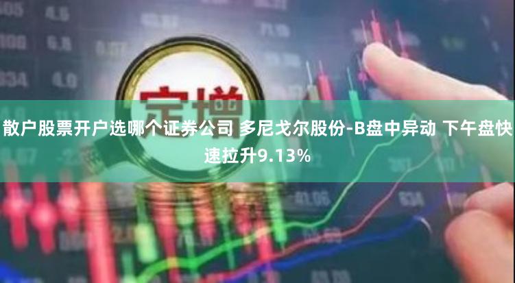 散户股票开户选哪个证券公司 多尼戈尔股份-B盘中异动 下午盘快速拉升9.13%