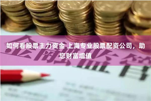如何看股票主力资金 上海专业股票配资公司，助您财富增值
