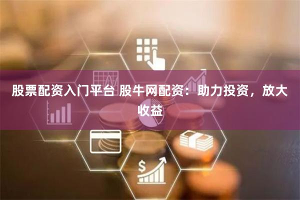 股票配资入门平台 股牛网配资：助力投资，放大收益