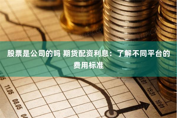 股票是公司的吗 期货配资利息：了解不同平台的费用标准